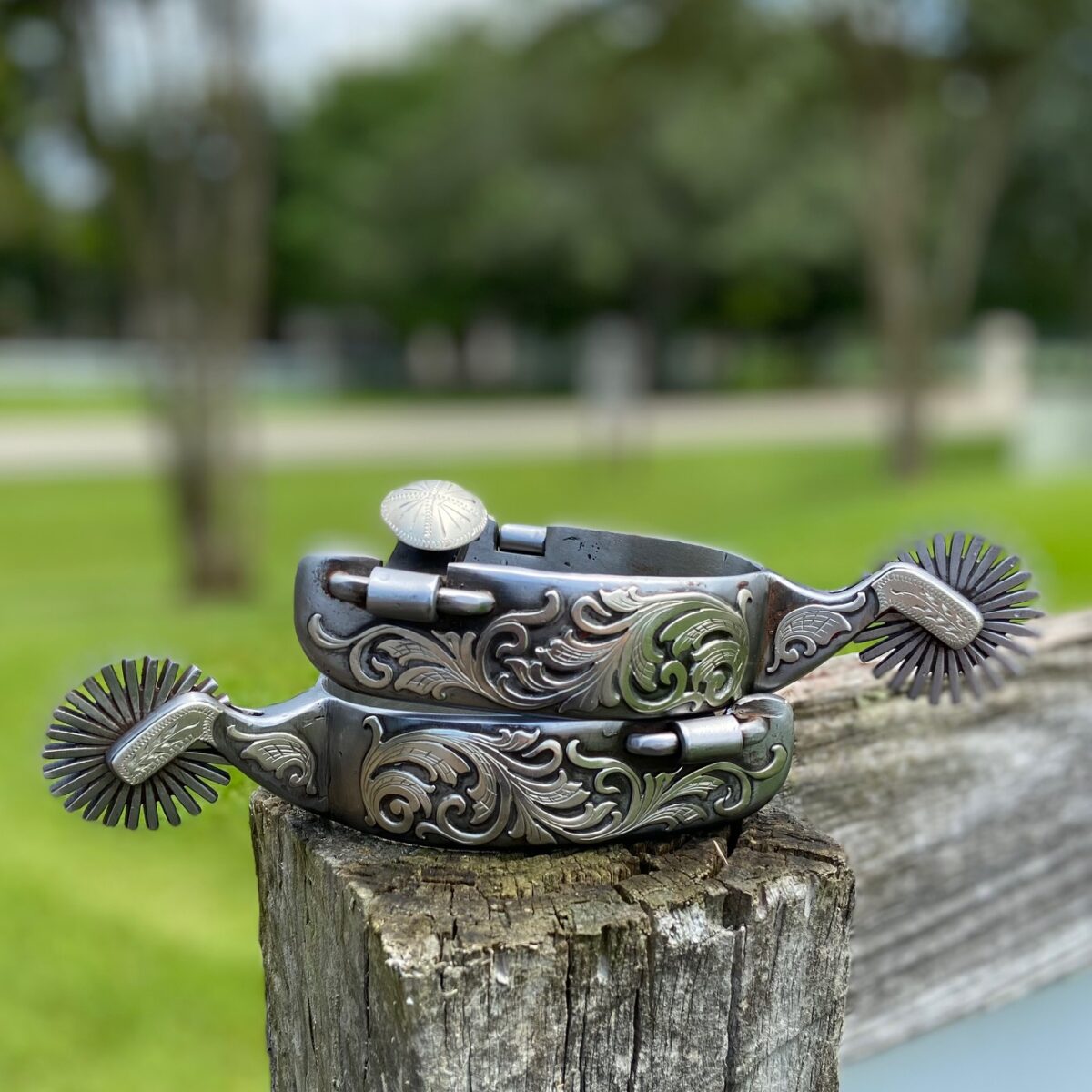 The Saddle House Custom Saddles & Western Gear