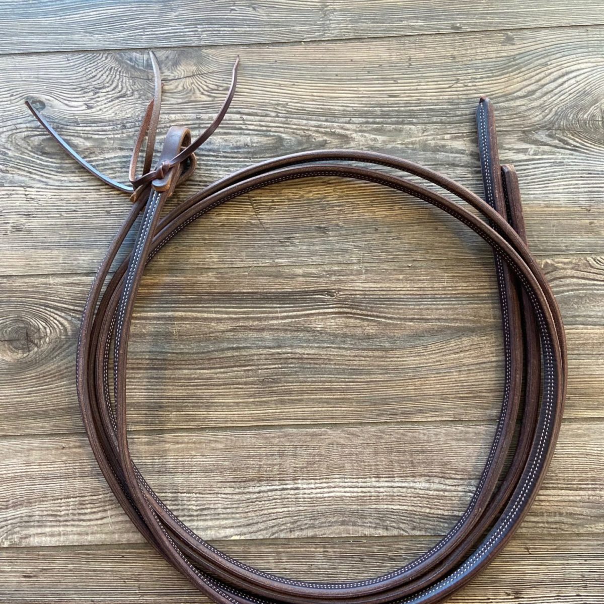 The BEST Reins for Horses [TOP PRICES]