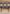 Classic Equine Saddle Blanket