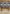 Classic Equine Saddle Blanket