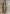 Mincer Show Browband Headstall