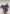 Saddle House Baldus Versatility Saddle