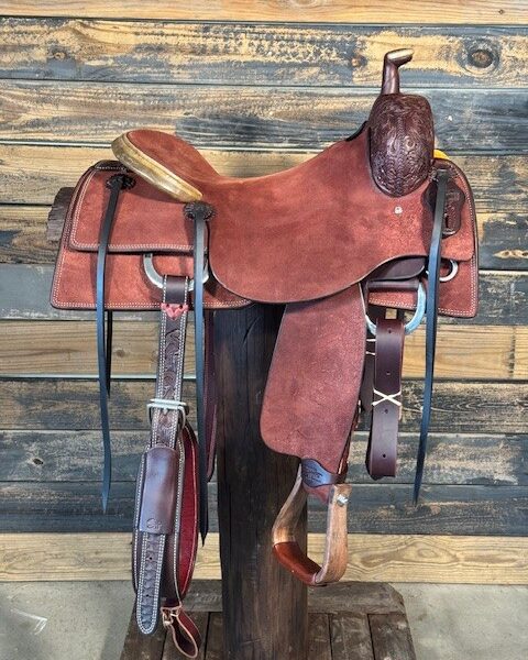 Saddle House Custom Cowhorse