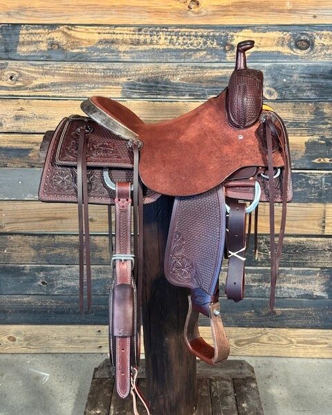 Saddle House Custom Cowhorse
