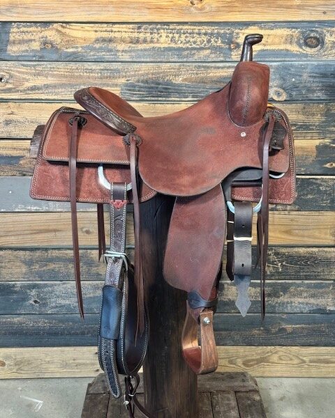 Saddle House Custom Cowhorse