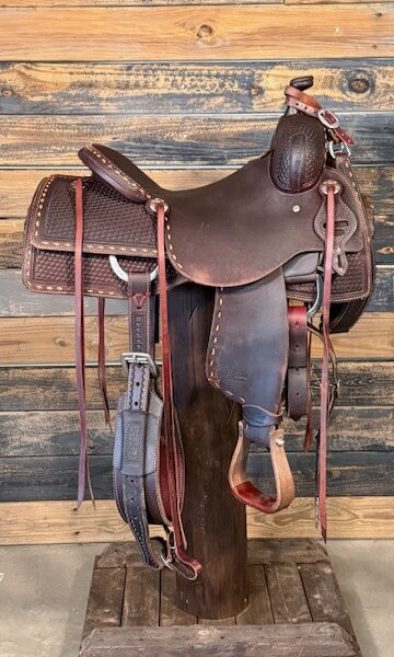 Saddle House Custom Cowhorse