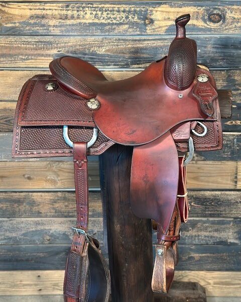 Saddle House Custom Cowhorse
