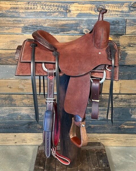 Saddle House Custom Cowhorse