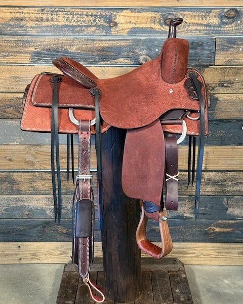 Saddle House Custom Cowhorse