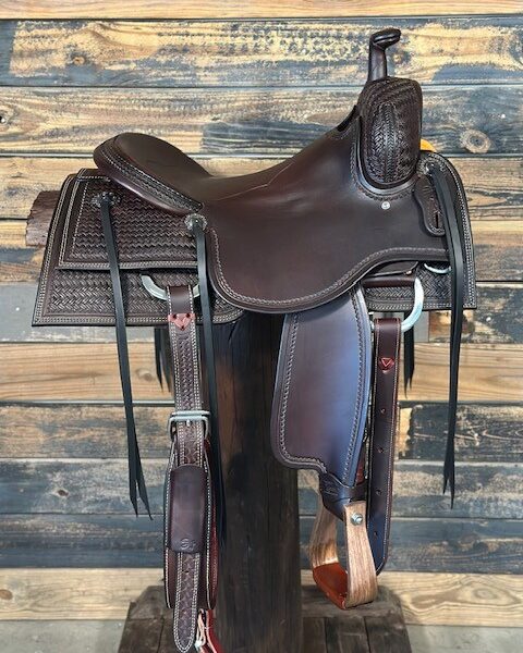 Saddle House Custom Cowhorse