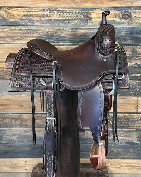Saddle House Custom Cowhorse