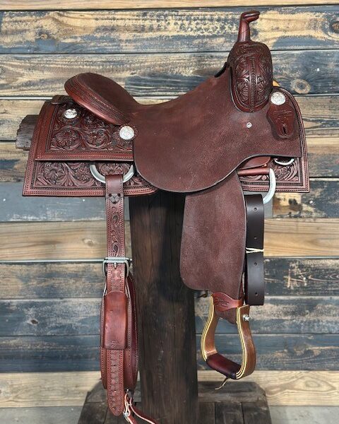 Saddle House Custom Cowhorse