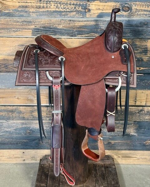 Saddle House Custom Cowhorse