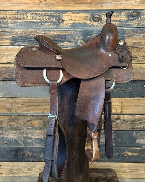 Saddle House Custom Cowhorse