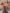 Saddle House Baldus Versatility Saddle